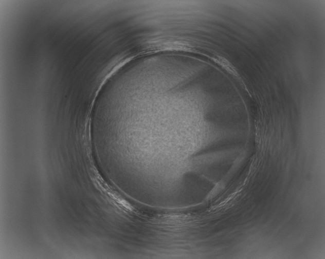 X0000054440790200508011428