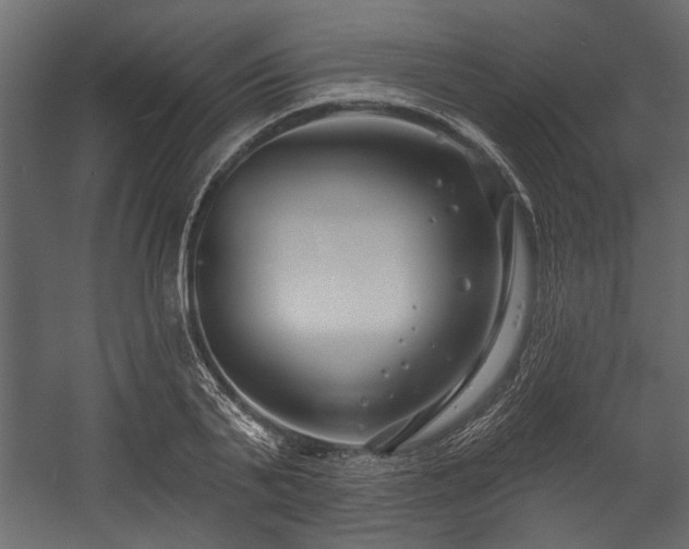 X0000054440791200508011428