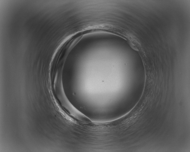 X0000054440792200508011428