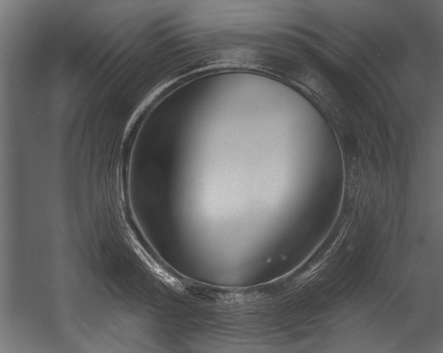 X0000054440796200508011428