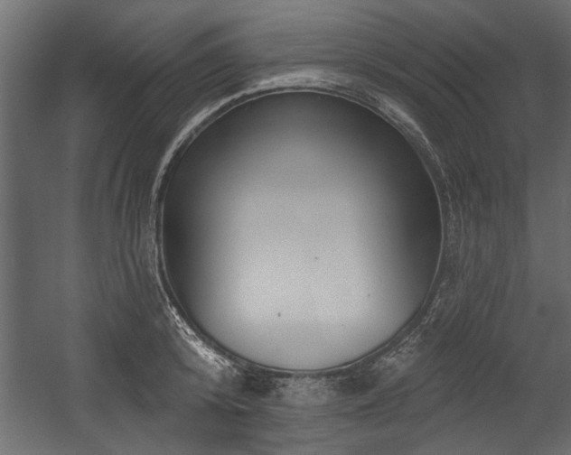 X0000054440800200508011428