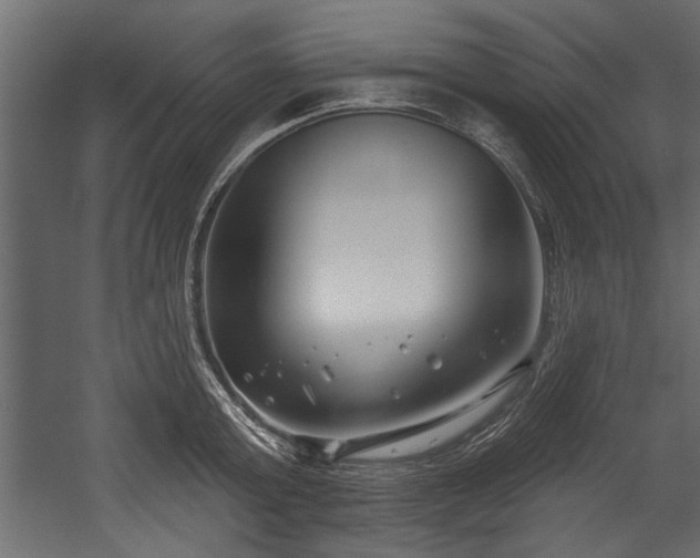X0000054440803200508011428