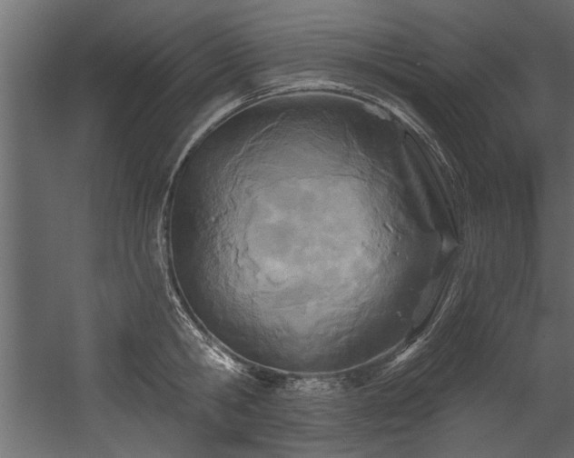 X0000054440806200508011428