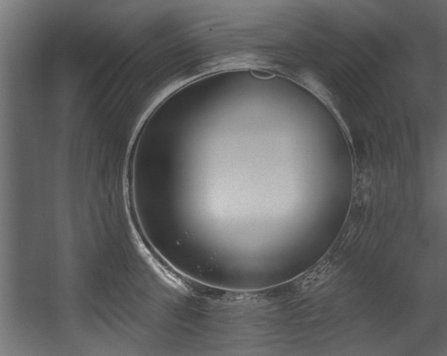 X0000054440811200508011428