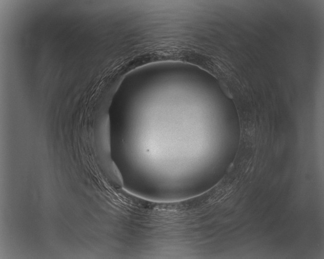 X0000054440817200508011427