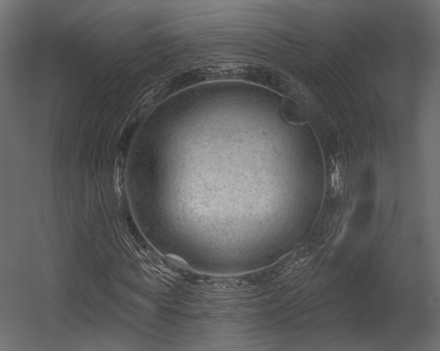 X0000054440819200508011427