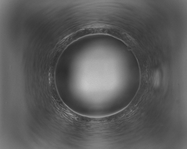 X0000054440821200508011427