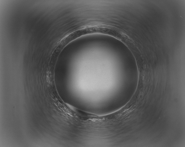 X0000054440822200508011427