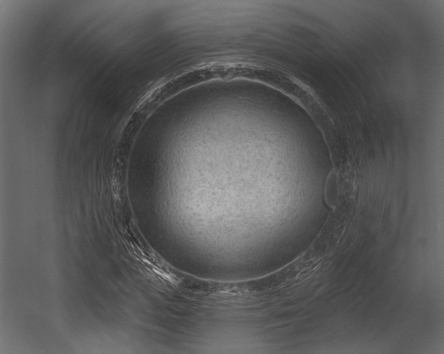 X0000054440823200508011427
