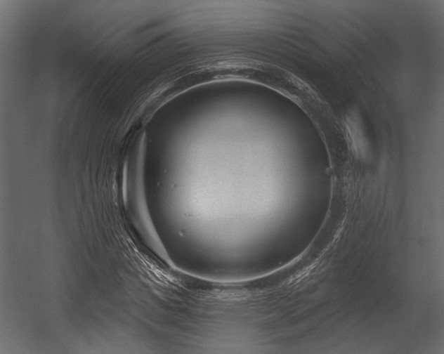 X0000054440825200508011427