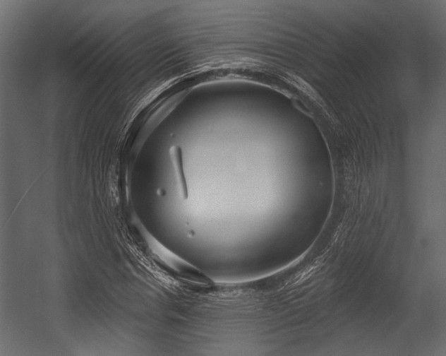 X0000054440826200508011427