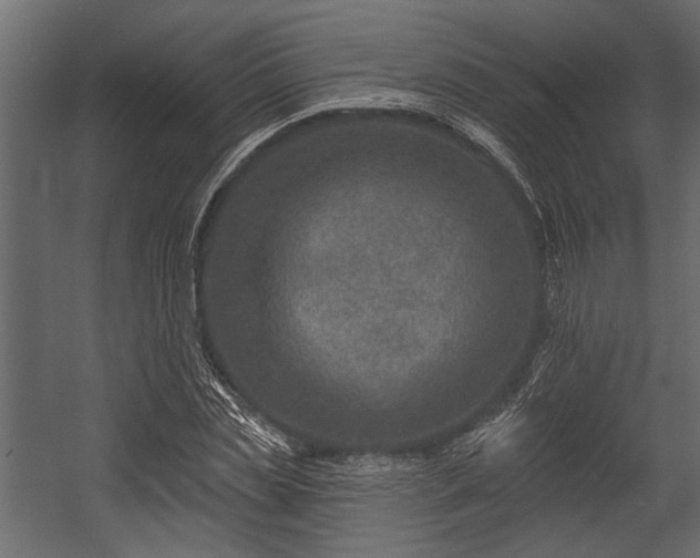X0000054440829200508011427
