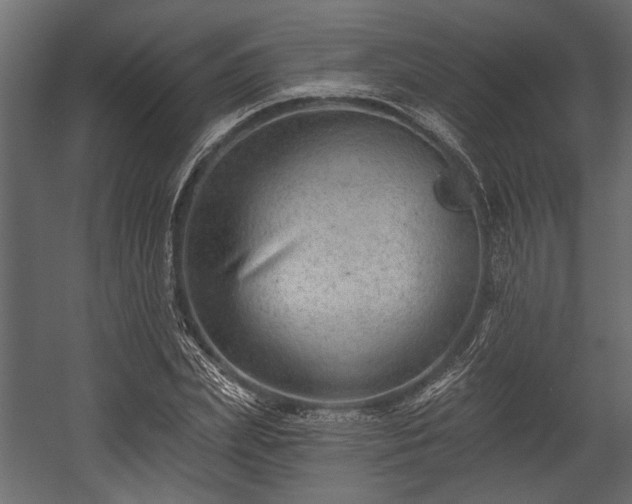 X0000054440831200508011427
