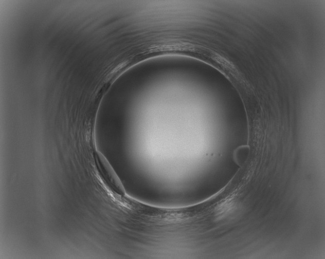 X0000054440841200508011427