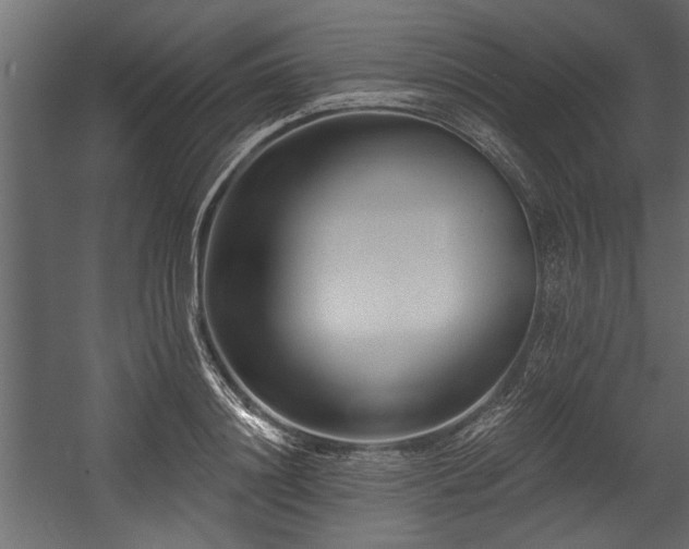 X0000054440844200508011427