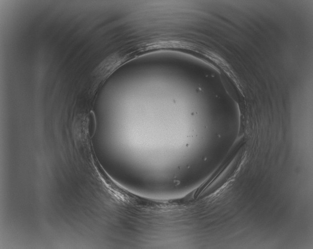 X0000054440849200508011428