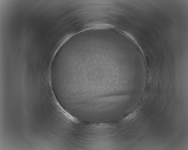 X0000054440851200508011428