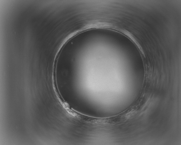 X0000054440861200508011428