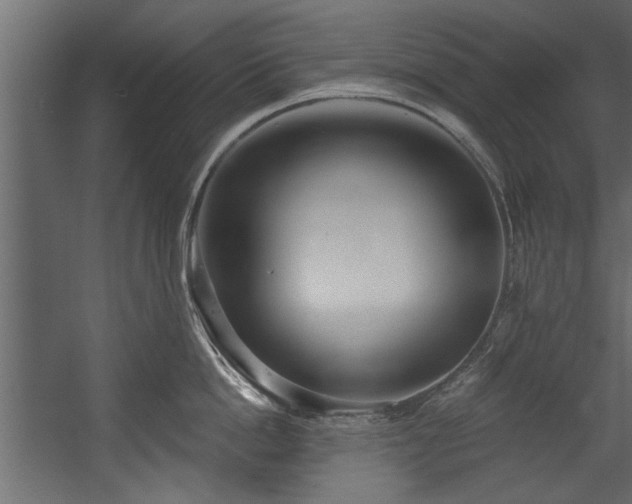 X0000054440862200508011428