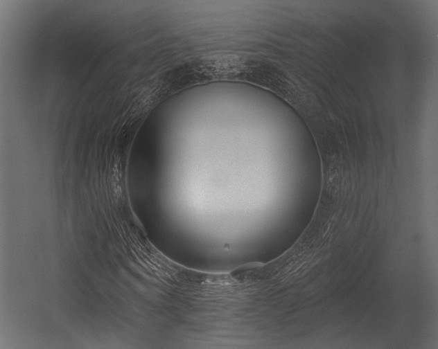 X0000054440866200508011427