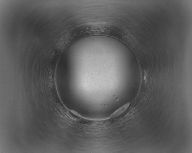 X0000054440867200508011427