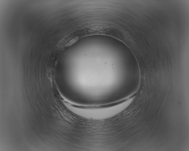 X0000054440868200508011427