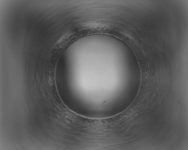 X0000054440869200508011427