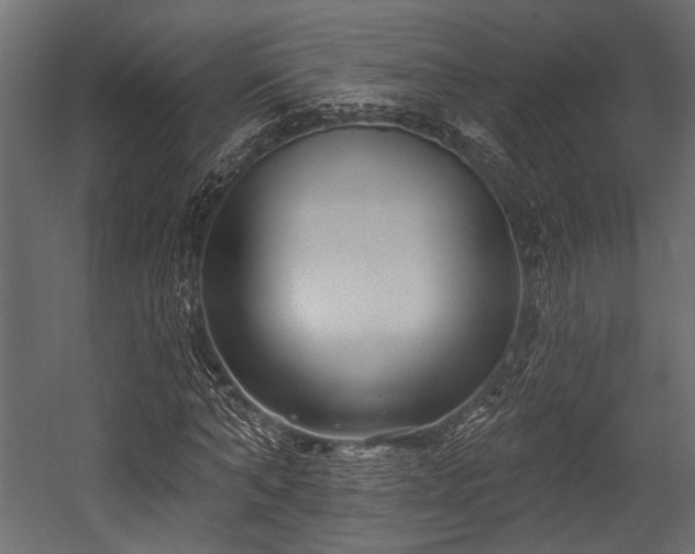 X0000054440870200508011427