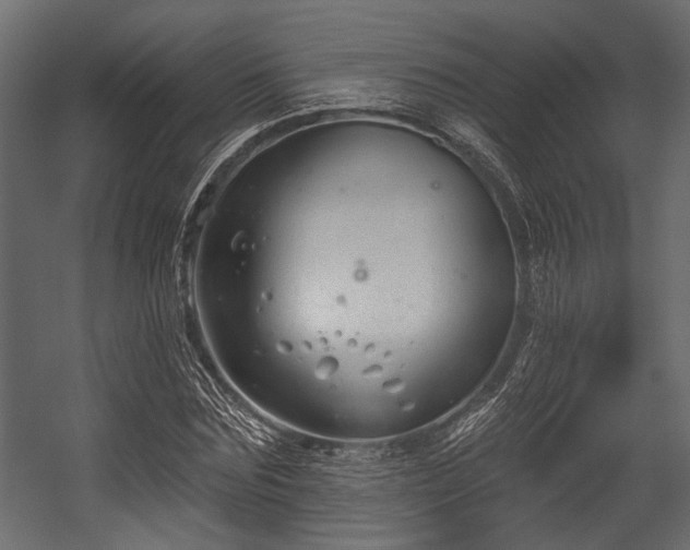 X0000054440875200508011427