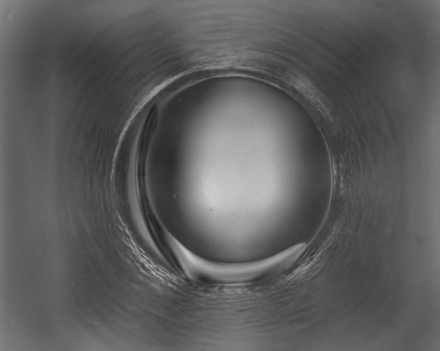 X0000054440876200508011427