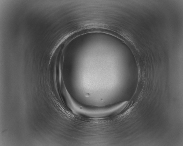 X0000054440877200508011427