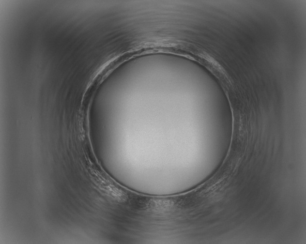 X0000054440878200508011427