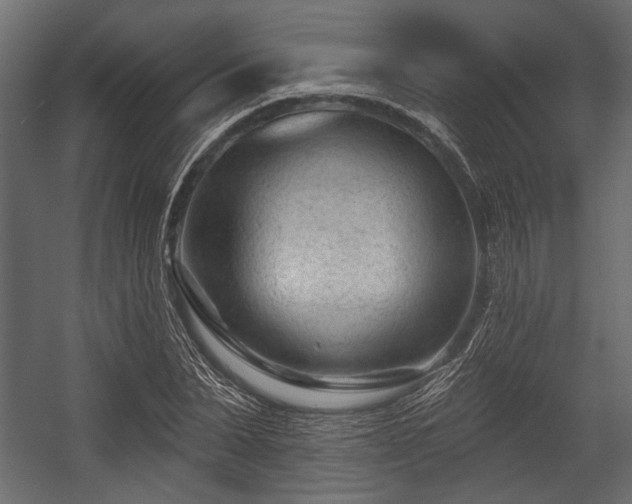X0000054440879200508011427