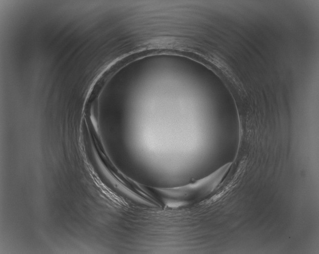 X0000054440880200508011427