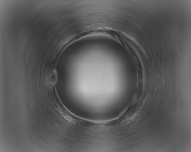 X0000054440881200508011427
