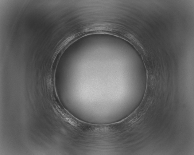 X0000054440882200508011427