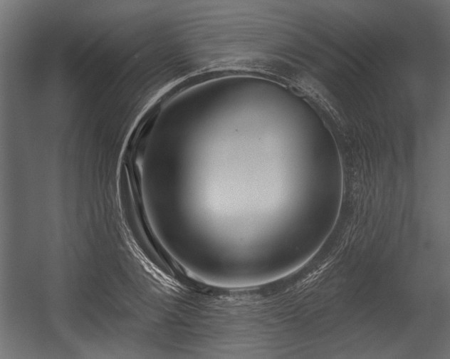 X0000054440884200508011427