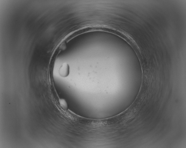 X0000054440887200508011427
