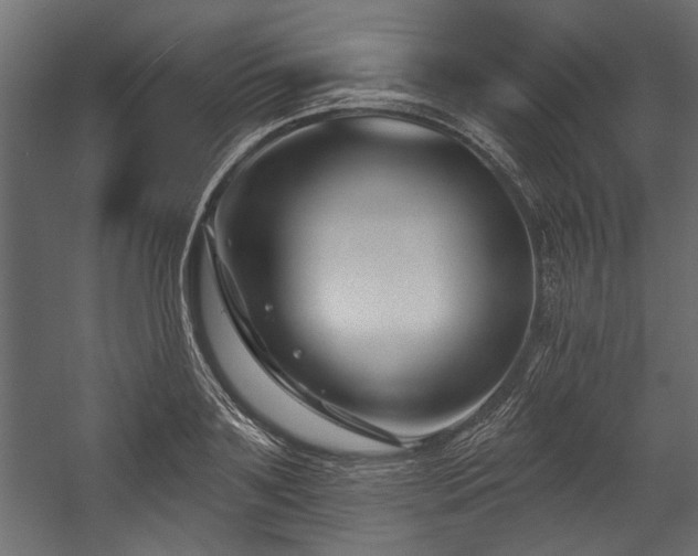 X0000054440891200508011427