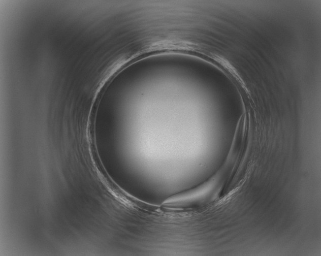 X0000054440893200508011426