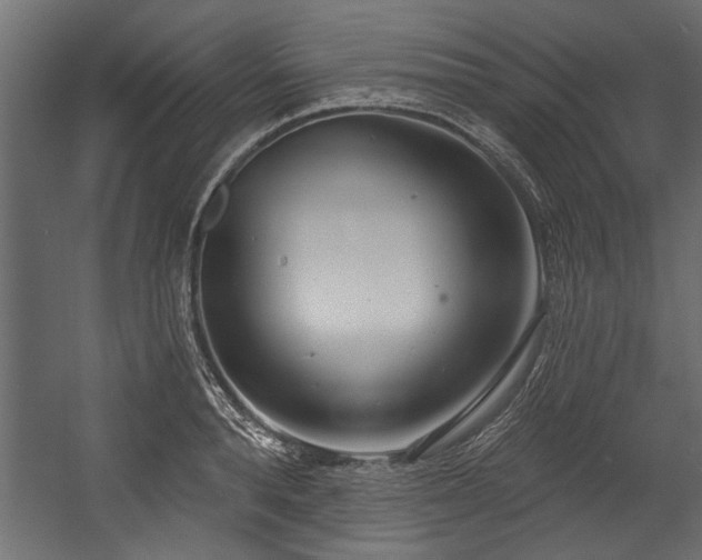 X0000054440896200508011426