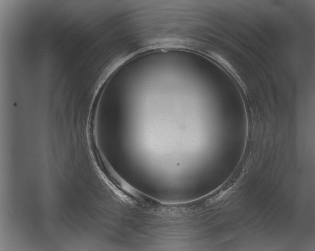 X0000054440901200508011426