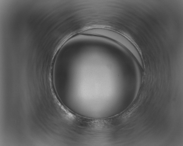 X0000054440906200508011426