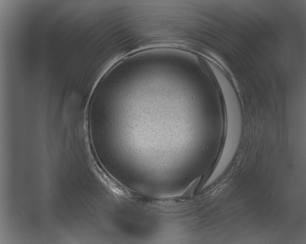 X0000054440907200508011426