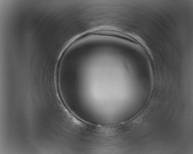 X0000054440910200508011426