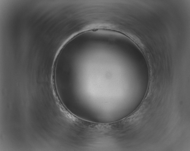 X0000054440912200508011426