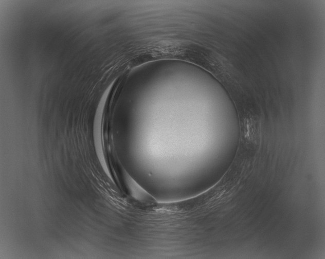 X0000054440915200508011425