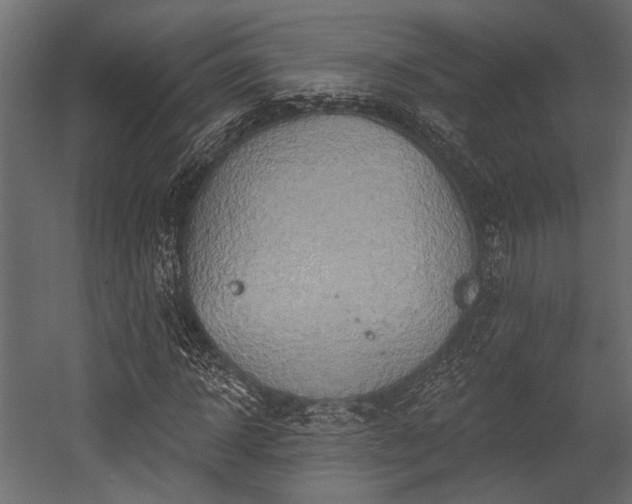 X0000054440918200508011425