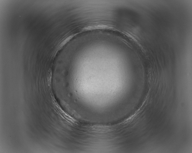 X0000054440921200508011425