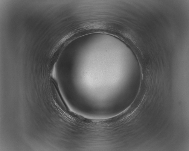 X0000054440922200508011426